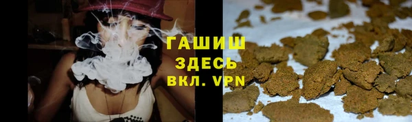 PSILOCYBIN Балахна